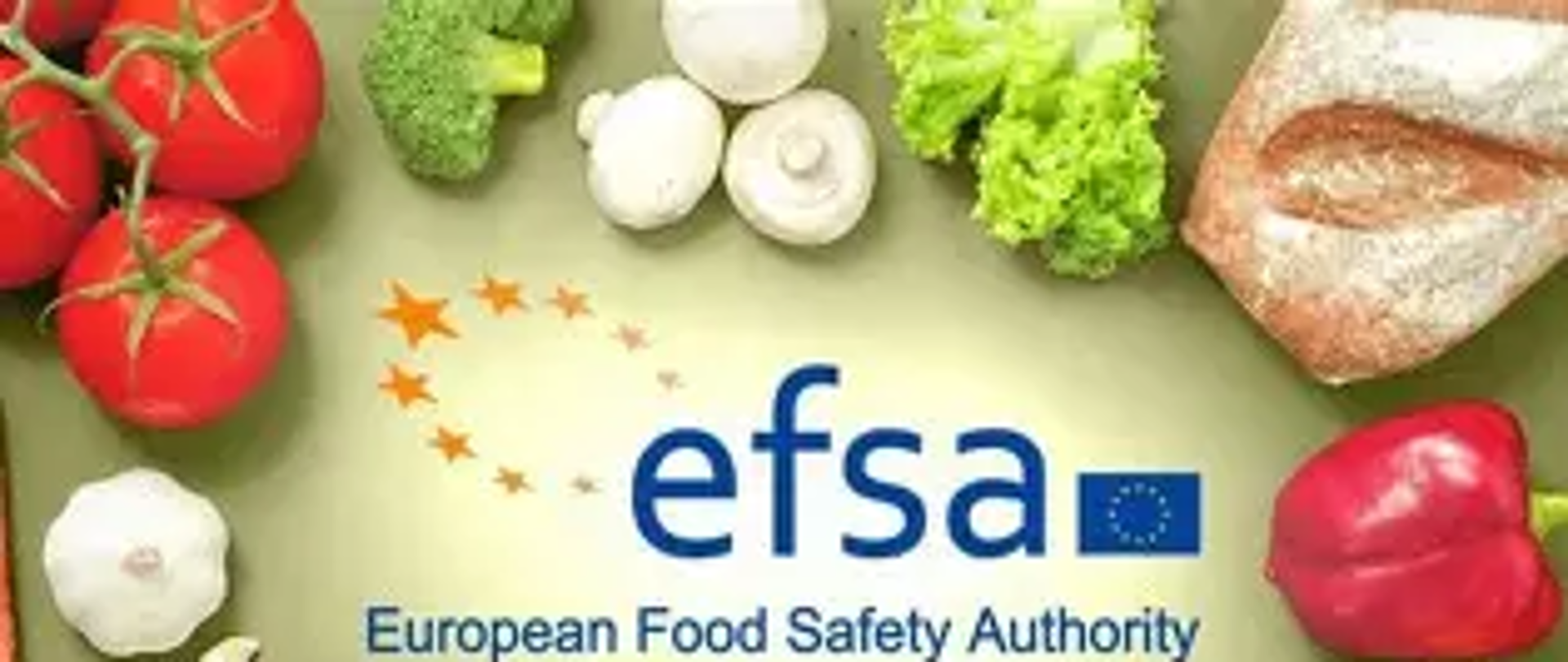 EFSA Safe2Eat 2026