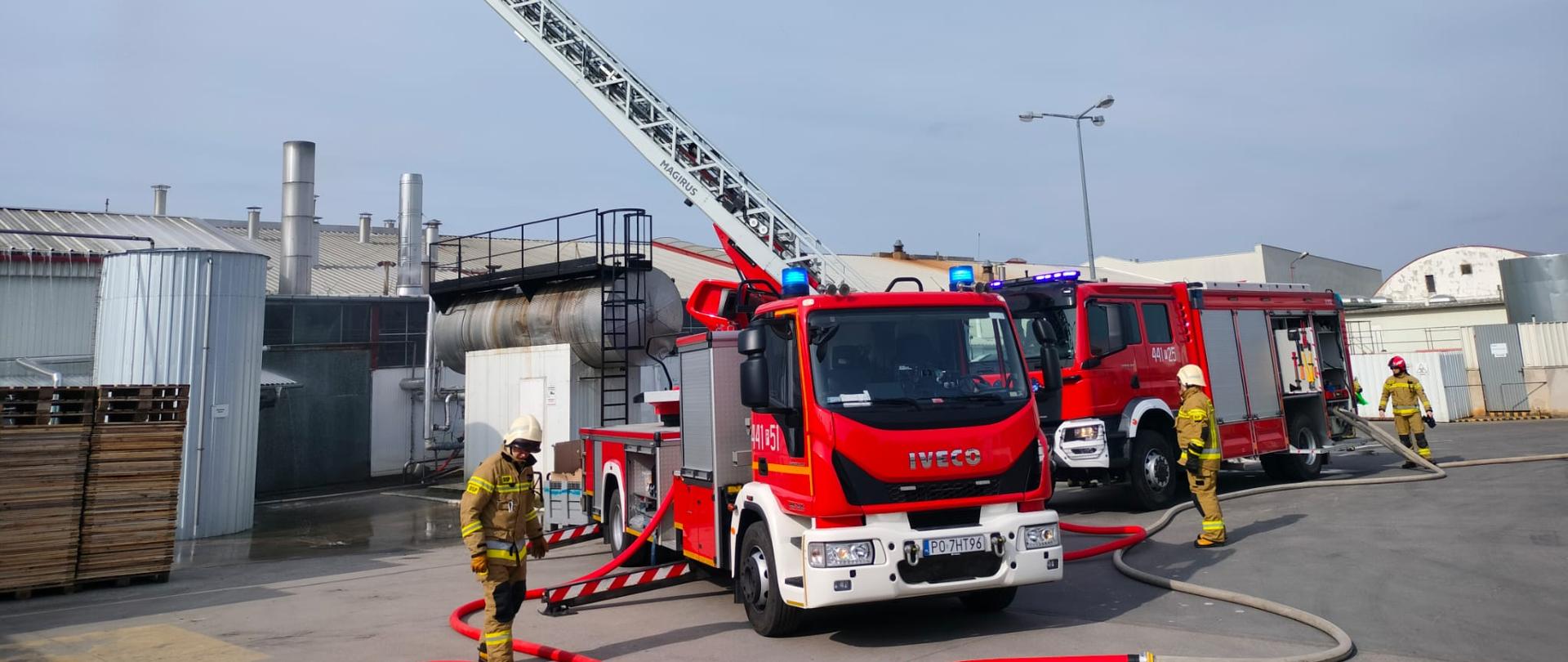 ćwiczenia w firmie Bonduelle