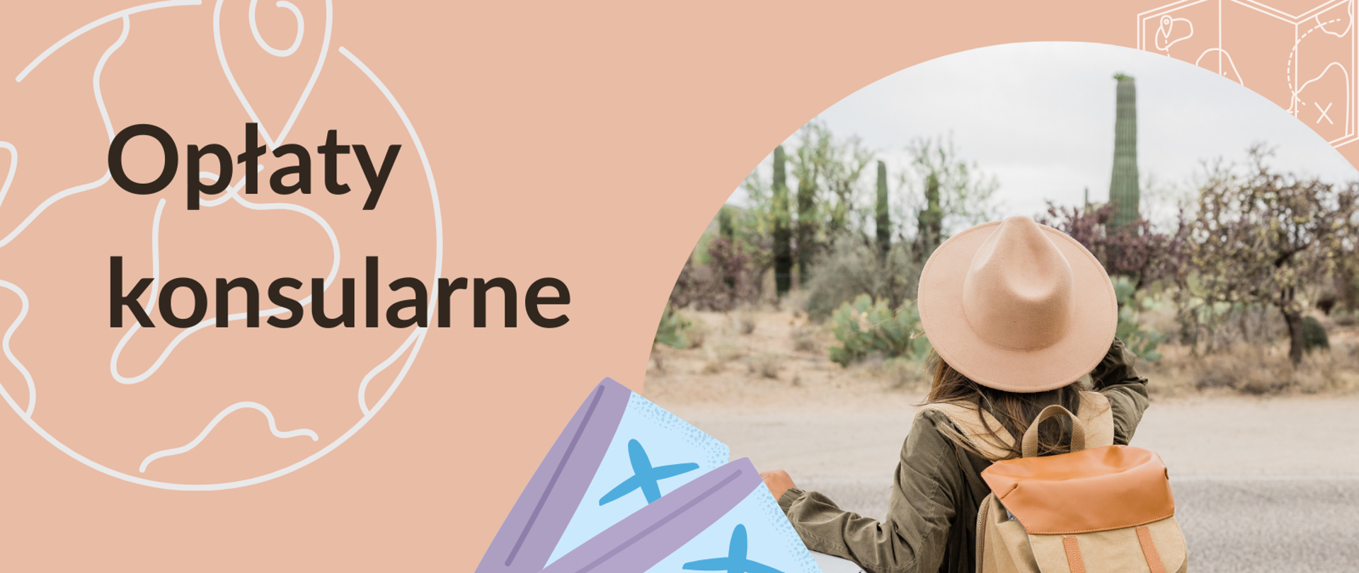 grafika_opłaty_kons_PL