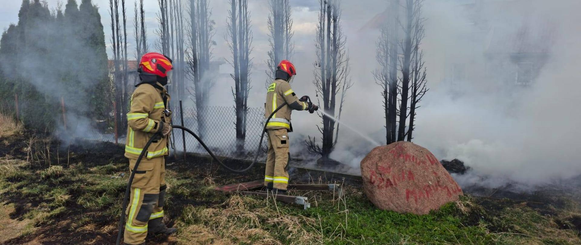 Dwóch strażaków w czerwonych hełmach gasi pożar suchych roślin. Unosi się dym.