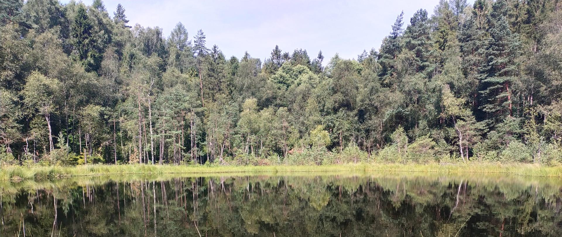 Nowy rezerwaty przyrody Okuniewo