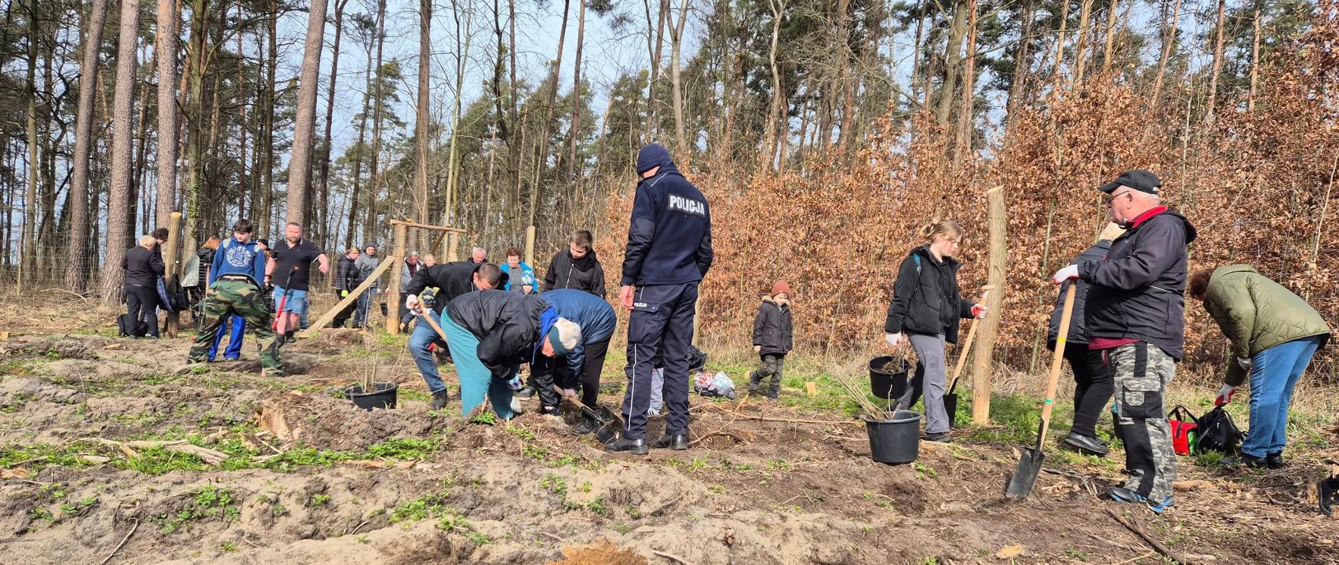 Na zdjęciu znajdują się osoby sadzące drzewka