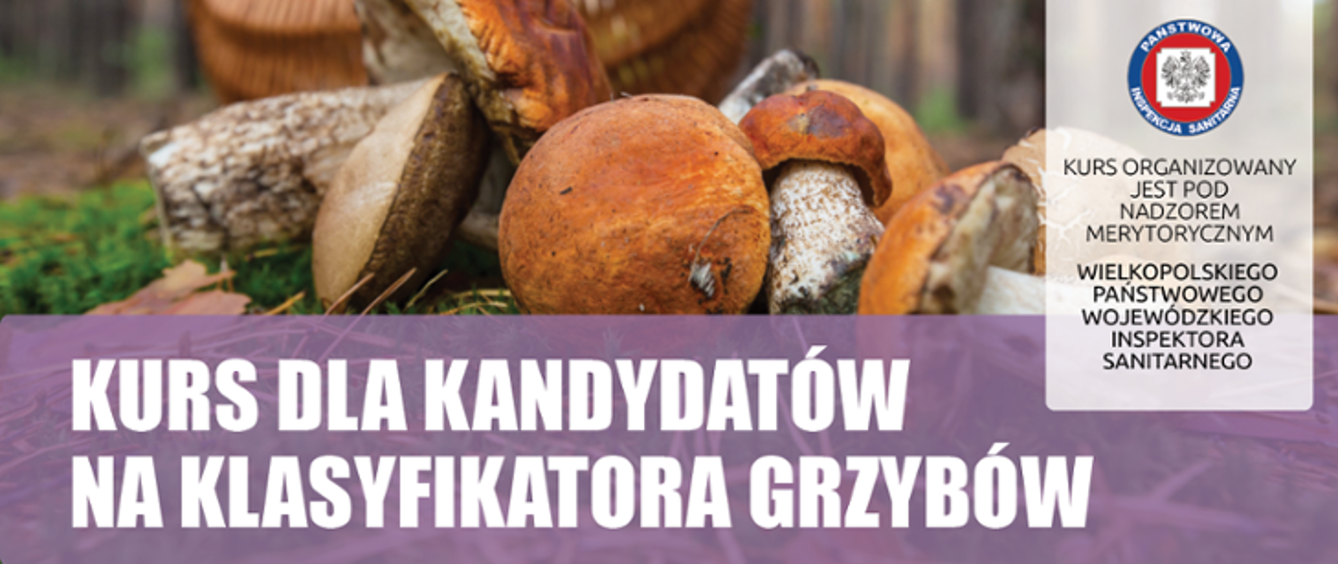 NABÓR NA KURS DLA KANDYDATÓW NA KLASYFIKATORA GRZYBÓW - 2023 zdjęcie grzybów