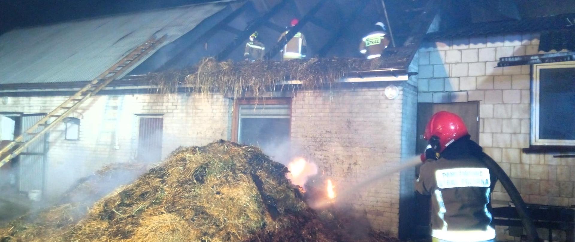 Zdjęcie przedstawia w głębi budynek gospodarczy: pokrycie zdemontowane, a na poddaszu widać trzech pracujących strażaków. Przed budynkiem leży pryzma palącego się siana, którą przelewa wodą ratownik. 