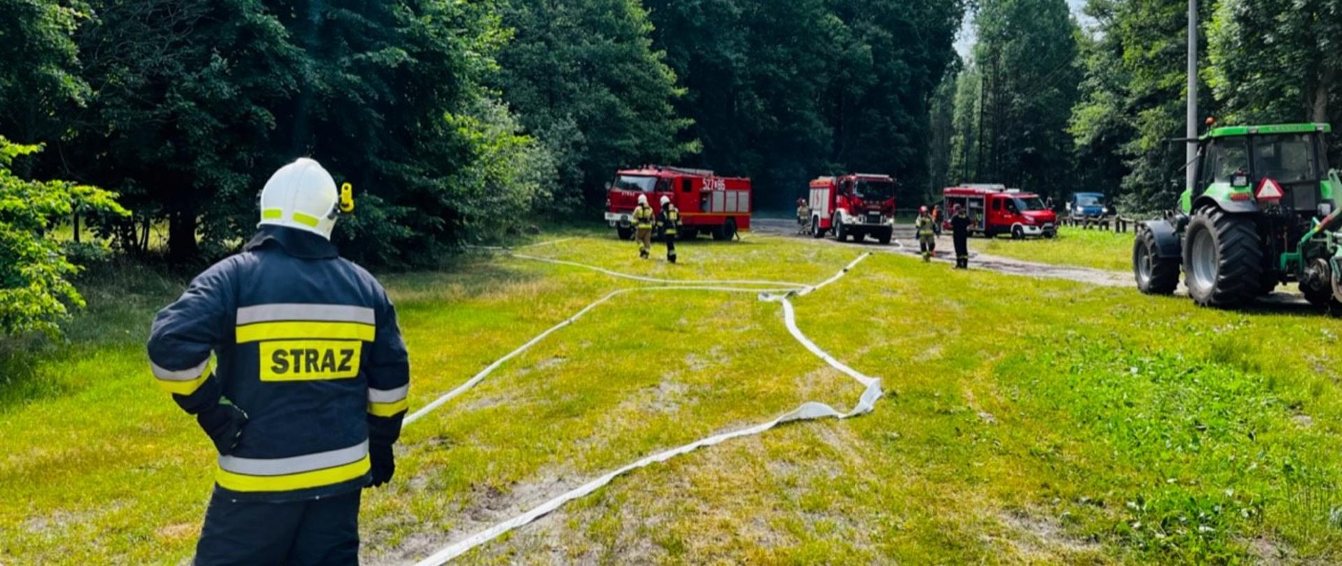 Na tle lasu widać samochody pożarnicze, rozwinięte węże, na pierwszym planie strażak tyłem.
