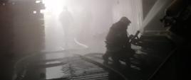 Zdjęcie przedstawia działania gaśnicze wewnątrz obiektu tartaku w Tucznie