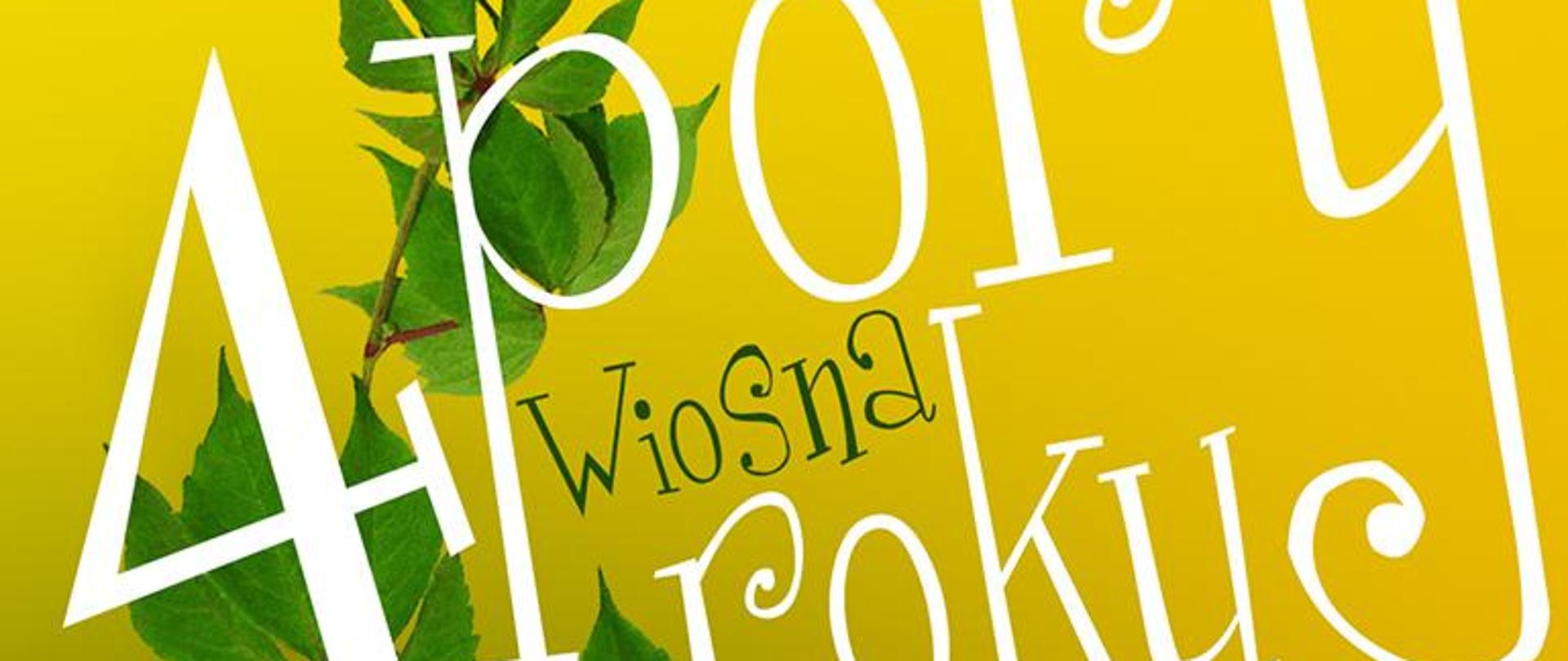 Na żółtym tle na dole przechodzącym w zielony umieszczona gałązka krzewu porzeczki z młodymi liśćmi. od góry tekst: Państwowa Szkoła Muzyczna I stopnia im. Emila Młynarskiego w Augustowie zaprasza na koncert z cyklu 4 pory roku - wiosna. W porgramie: Barbara Gałczyńska - Malarka, autorka poezji. Marta Łagoda - Muzyka różnych kompozytorów, skrzypce; Krzysztof Drzemicki - Klarnet, Grzegorz Sobczak - Fortepian. Czwartek, 23 Maja 2024, godz. 19:00 . Sala Koncertowa PSM, Augustów, ul. Wybickiego 1. Wstęp Wolny.