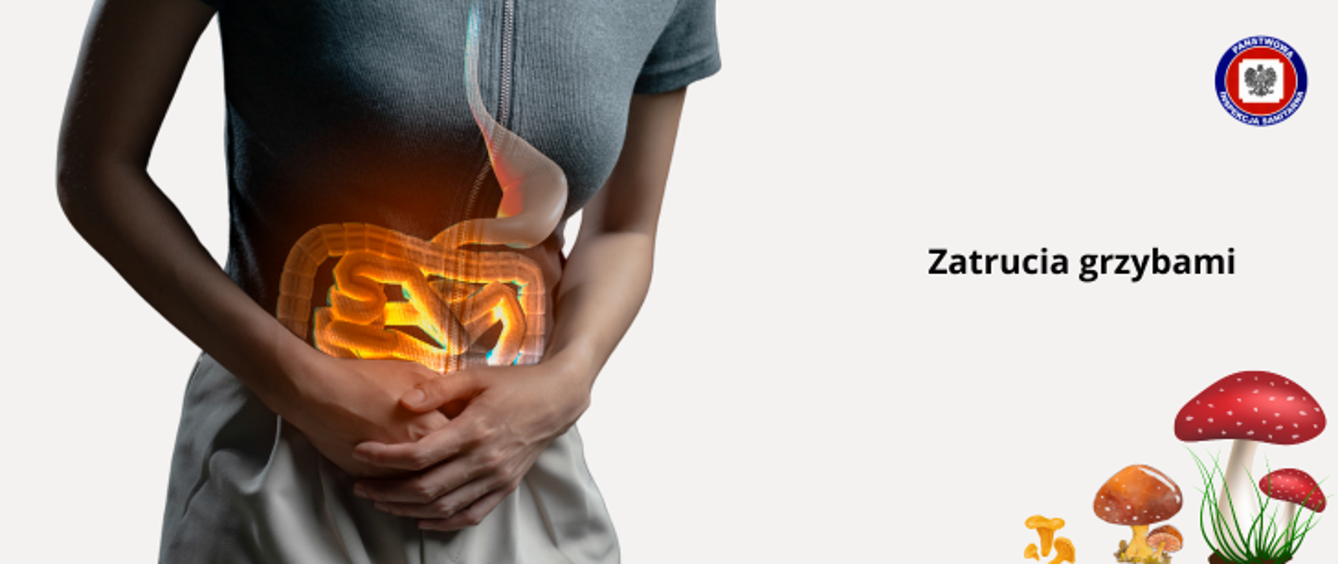 Na jasnym tle sylwetka kobiety w szarej koszulce i jasnych spodniach trzymającej się za bolący brzuch. Na sylwetce kobiety schemat układu pokarmowego w kolorze pomarańczowym. W prawym dolnym rogu grafiki trzech grzybów: muchomora czerwonego - czerwony kapelusz i biały trzon; podgrzybka - brązowy kapelusz i kurki. Po prawej stronie na środku napis zatrucie grzybami. W prawym górnym rogu logo Państwowej Inspekcji Sanitarnej.
