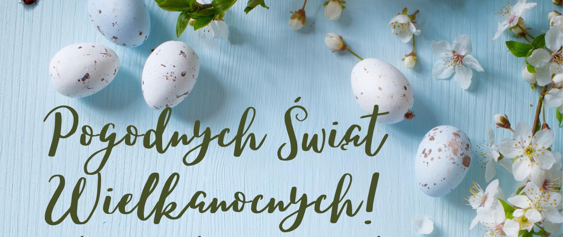 jajka i kwiaty w kolorze białym i biedronka na jasnoniebieskim tle; zielone napisy z życzeniami