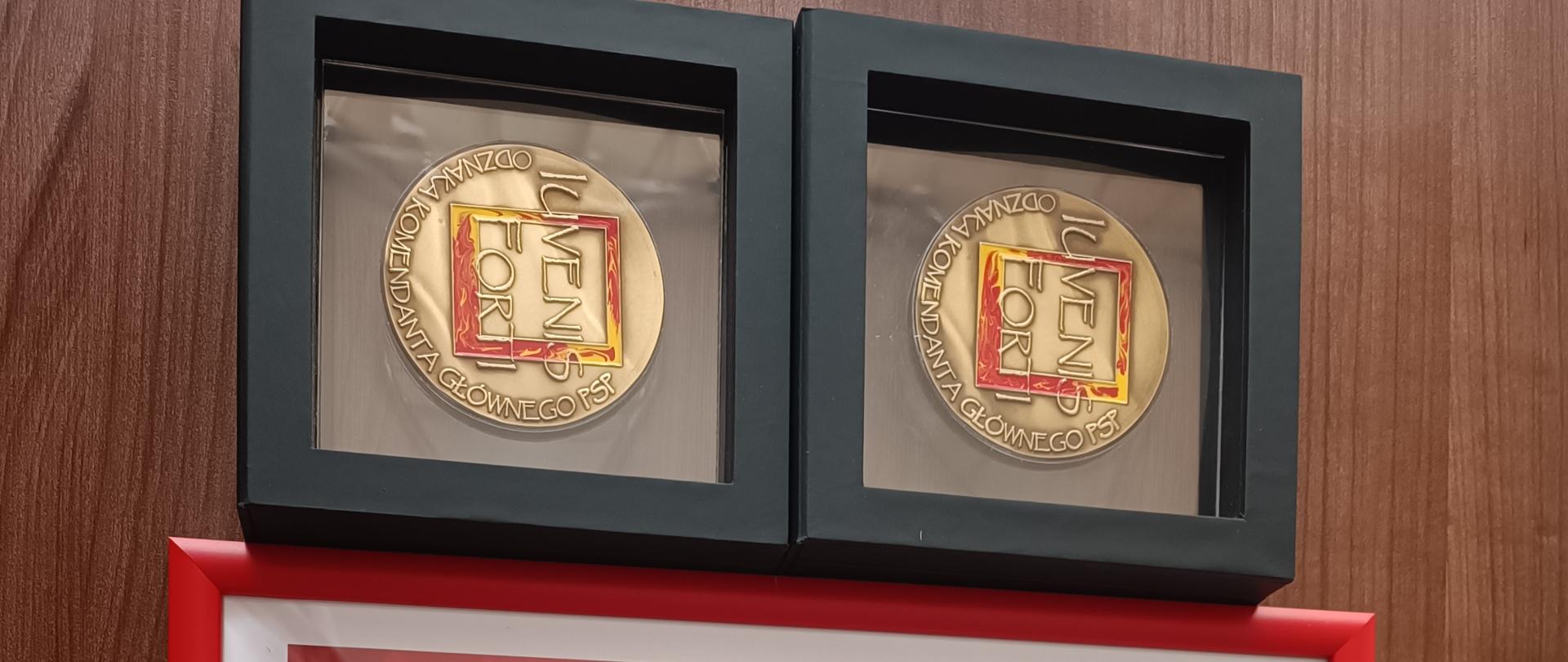 Dyplomy oraz medale Iuvenis Forti