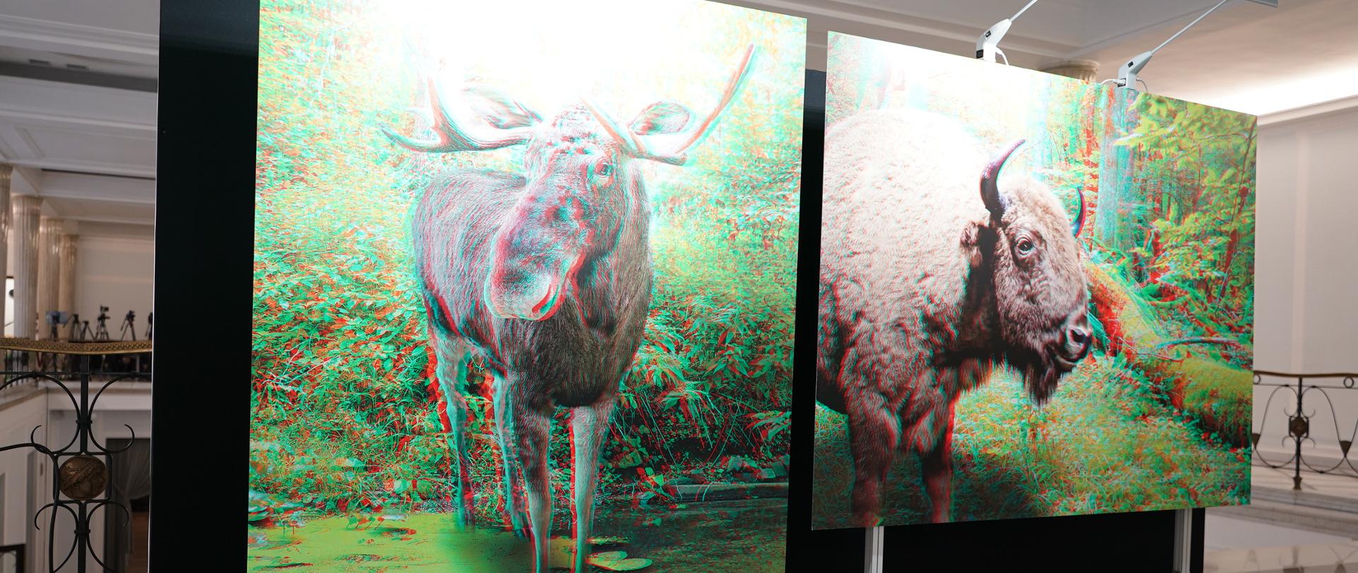 100-lecie_Białowieskiego_Parku_Narodowego_-_wystawa_w_Sejmie_3