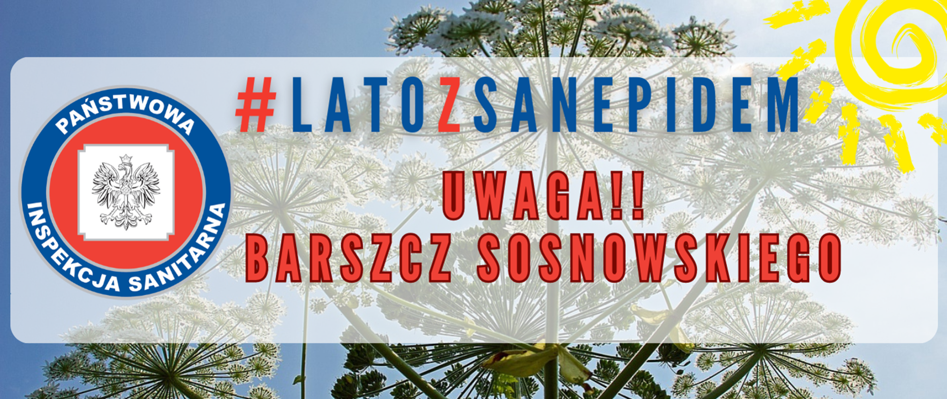 Barszcz Sosnowskiego
