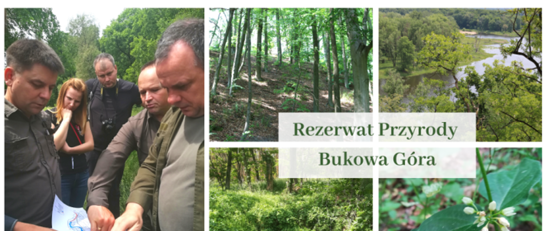 Planujemy powiększenie rezerwatu przyrody Bukowa Góra 