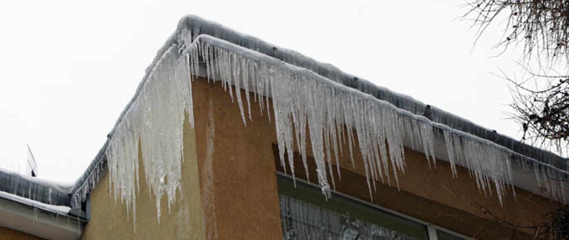Fotografia przedstawiająca zwisające sople lodu z budynku, które zagrażają przechodnią 