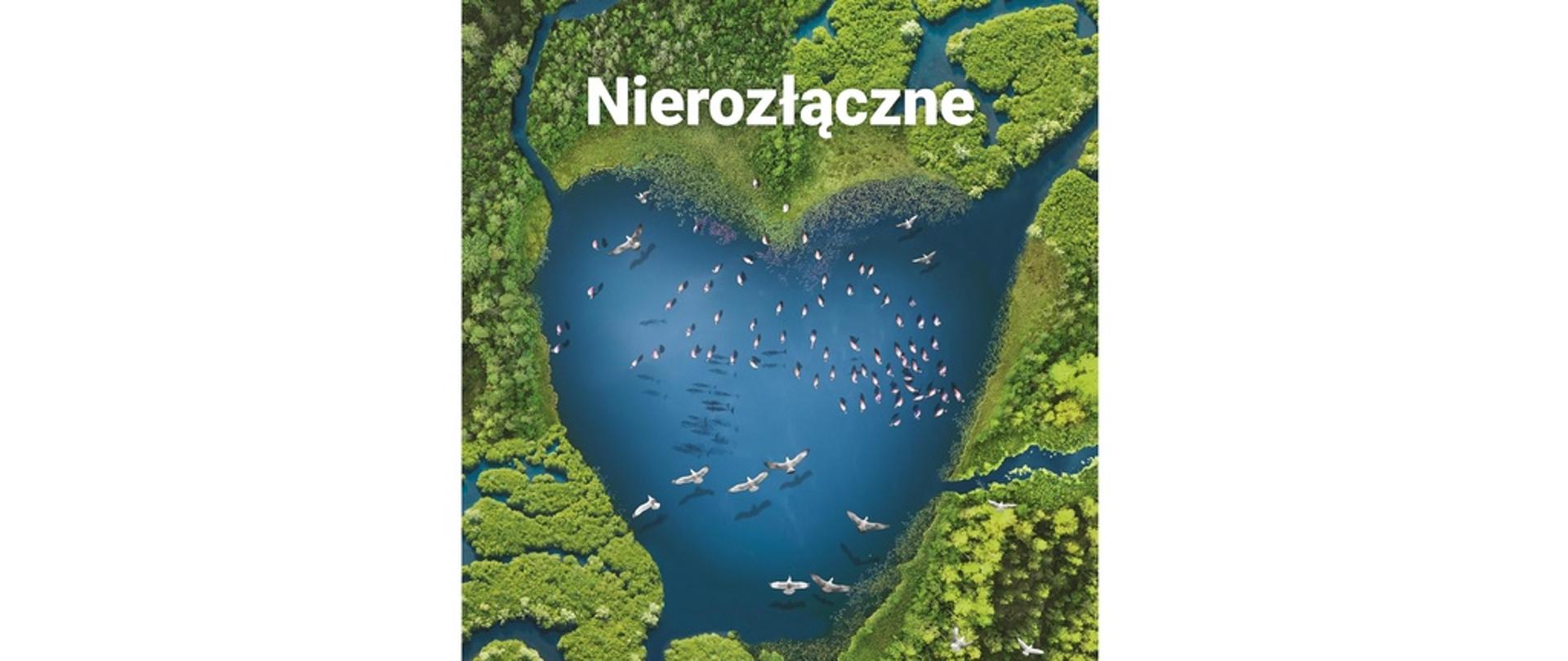 Na plakacie mokradła 