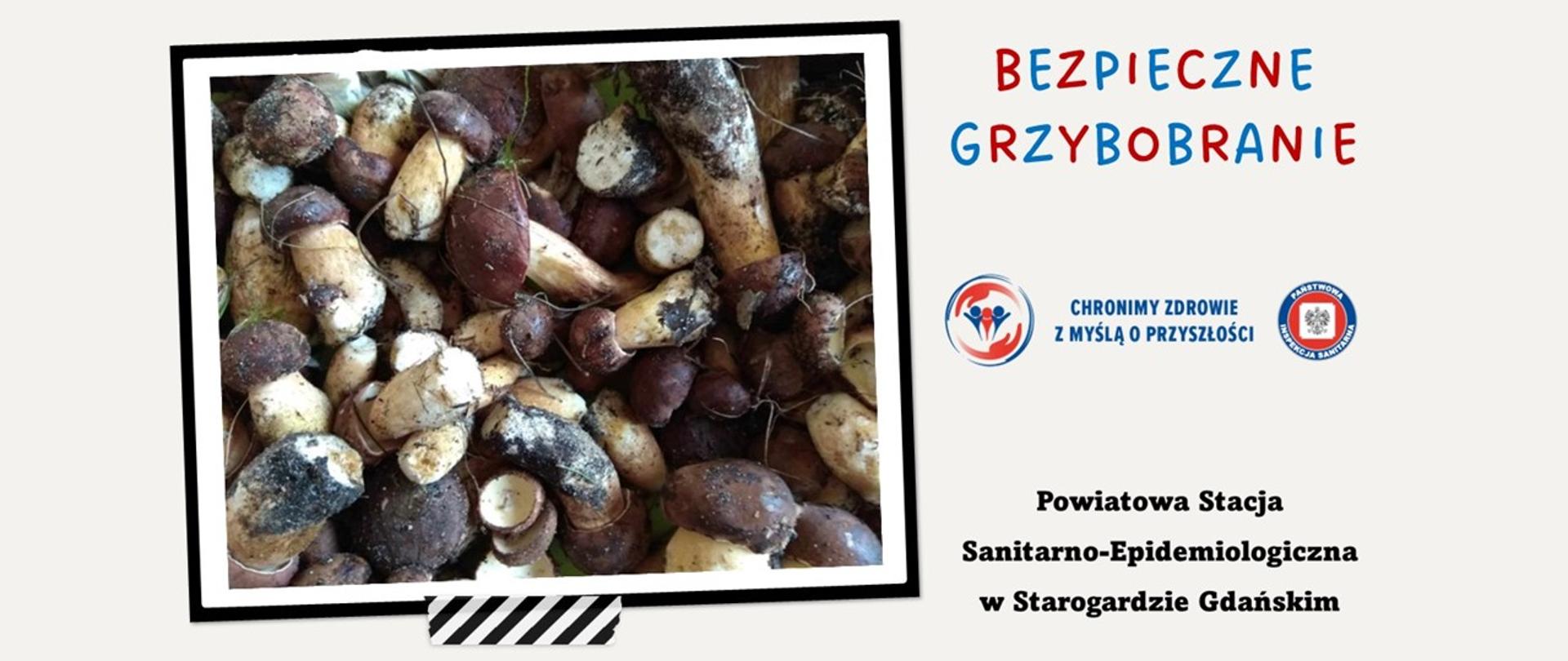 Bezpieczne Grzybobranie