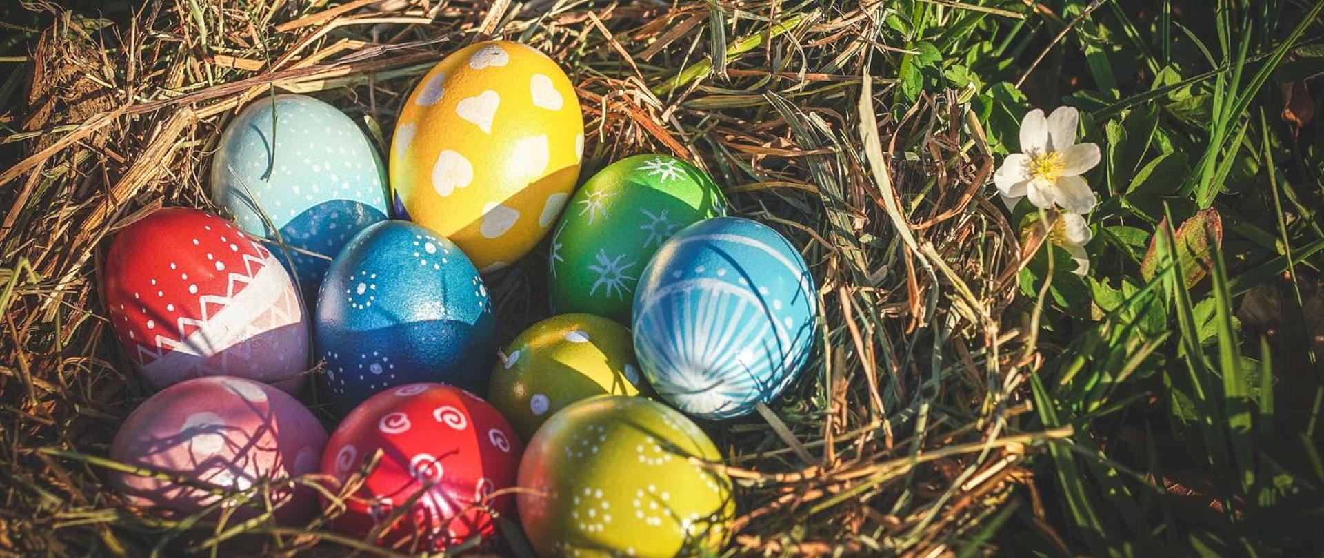 Zdjęcie przedstawia pisanki wielkanocne w gnieździe, które leży na trawie.