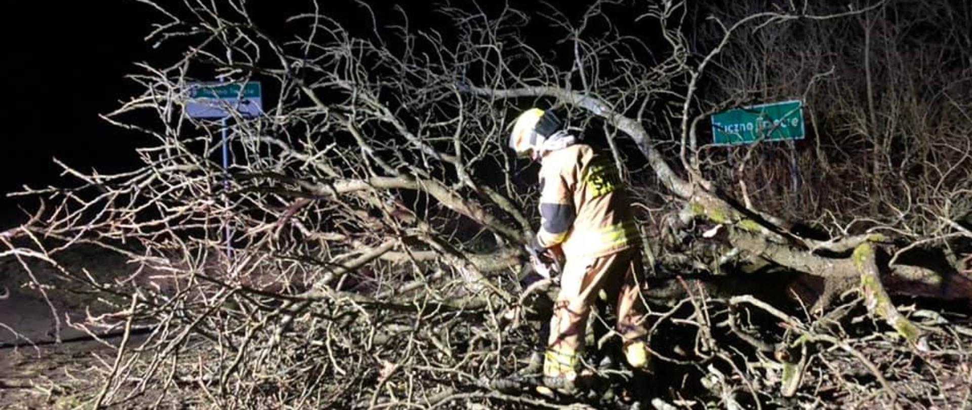 Zdjęcie przedstawia strażaka tnącego na kawałki powalone drzewo 