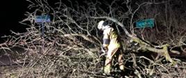 Zdjęcie przedstawia strażaka tnącego na kawałki powalone drzewo 