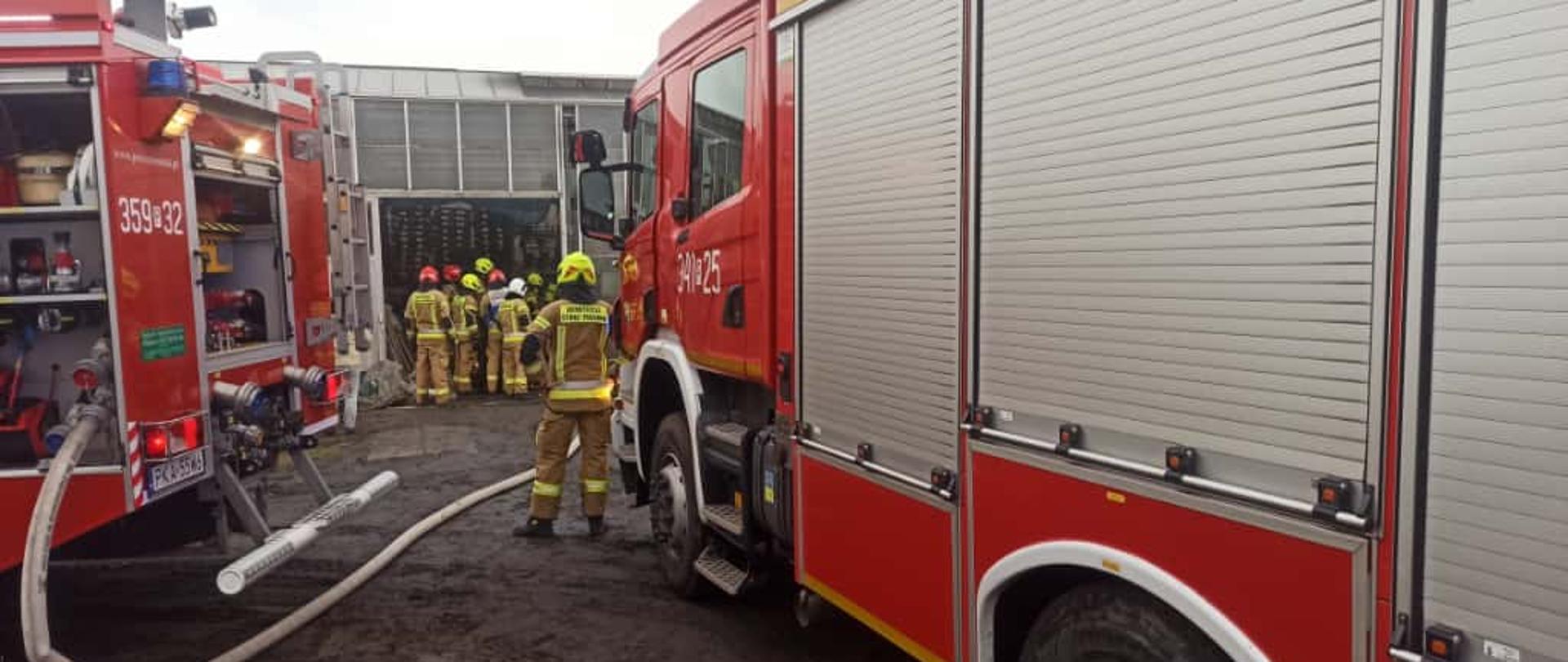 Strażacy przed wejściem do szklarni.