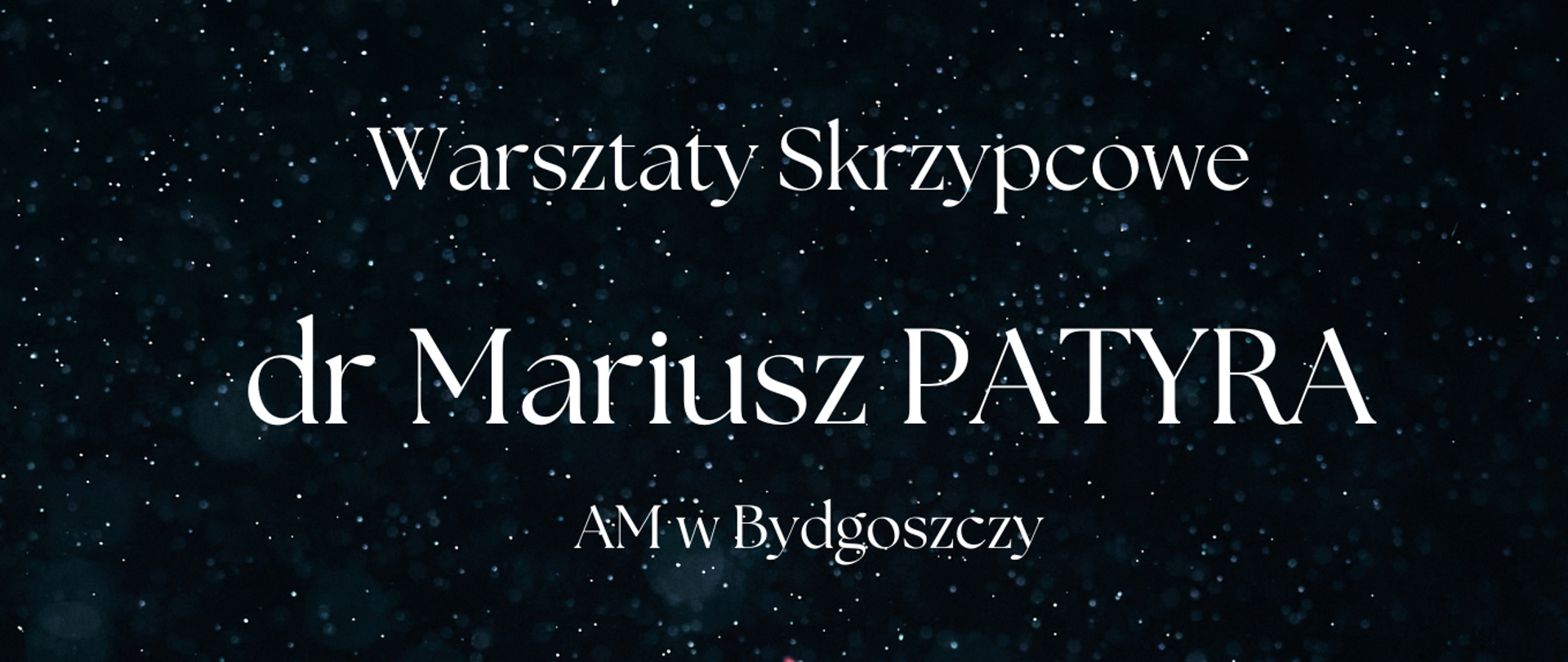 Grafika plakatu jest podzielona na dwie części. Górna część to rozgwieżdżone nocne niebo. Dolna część to zdjęcie z bliska środkowej części skrzypiec. W lewym górnym rogu znajduje się logo szkoły. Obok pełna nazwa szkoły oraz sekcji organizującej warsztaty - Sekcji Instrumentów Strunowych. Poniżej nazwa wydarzenia oraz dane osoby prowadzącej warsztaty- czyli Warsztaty skrzypcowe prowadzone przez Mariusza Patyrę z Akademii Muzycznej w Bydgoszczy. Kolejno daty trwania warsztatów- od 4 do 8 grudnia 2023 r.