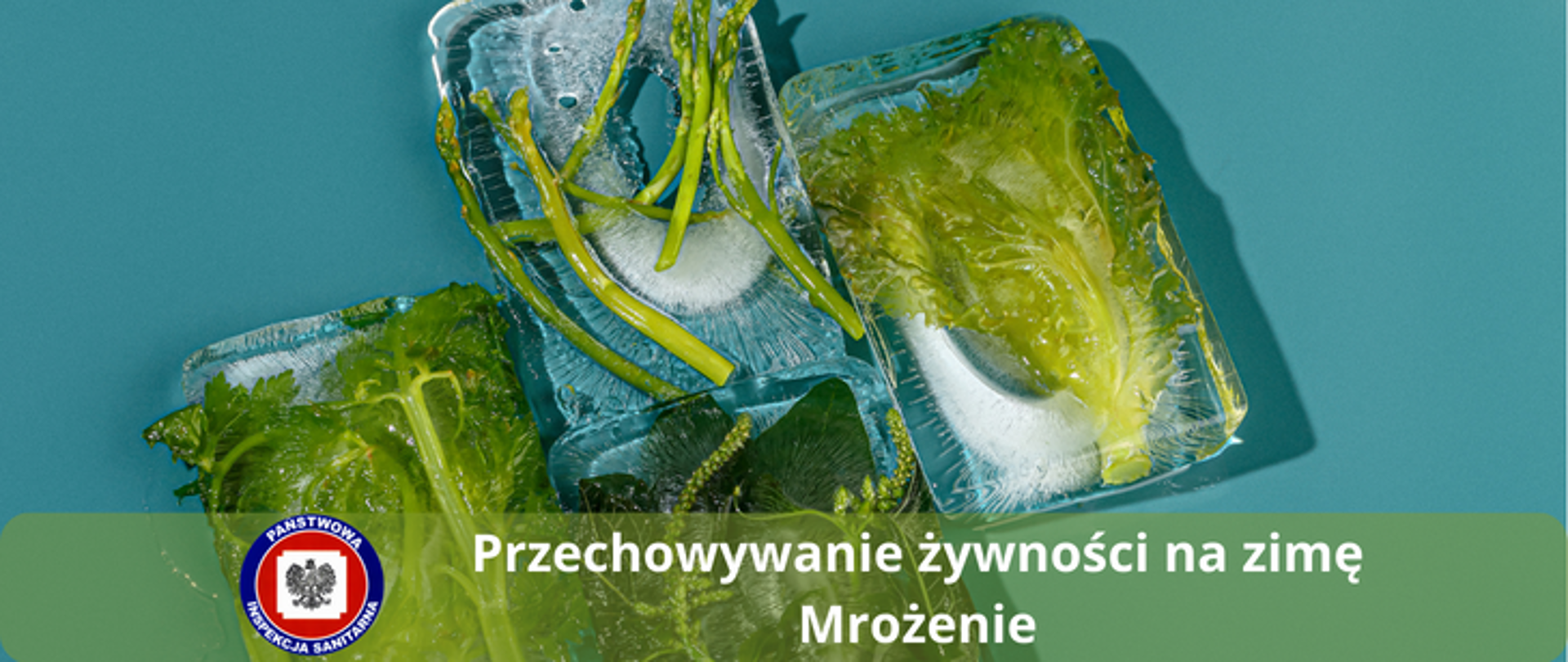 Zdjęcie przedstawia kostki lodu w których zamrożone są warzywa "Przechowywanie żywności na zimę - mrożenie?