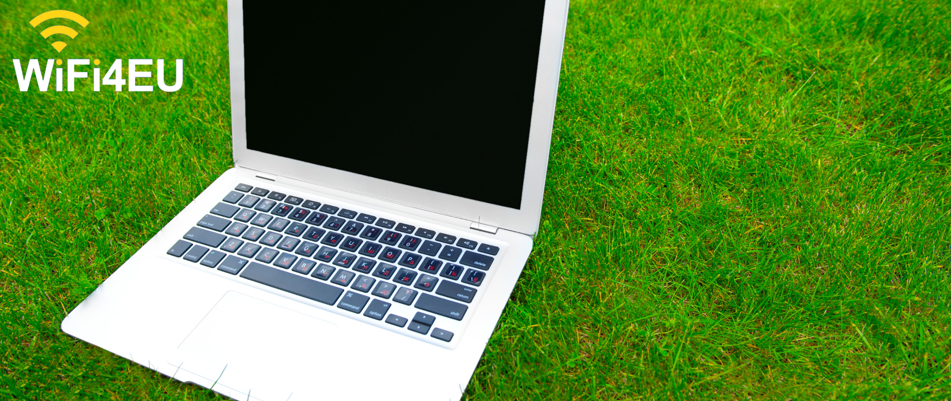 Laptop na trawie.