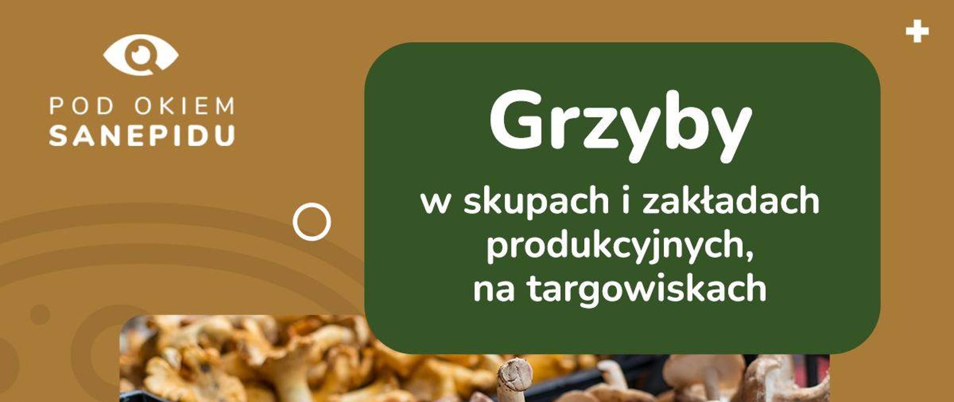 Grzyby