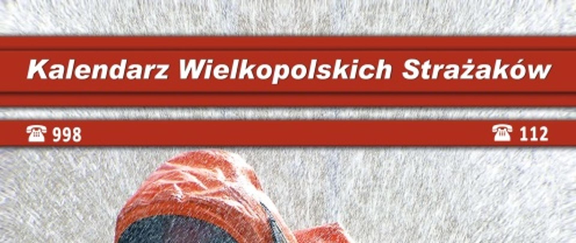 czlowiem w pomarańczowym kombinezonie chemicznym, na tle logo PSP oraz cyfry 2012