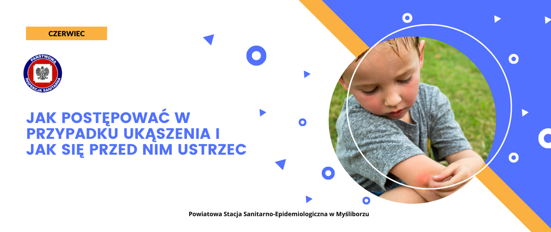 Jak postępować w przypadku ukąszenia i jak się przed nim ustrzec