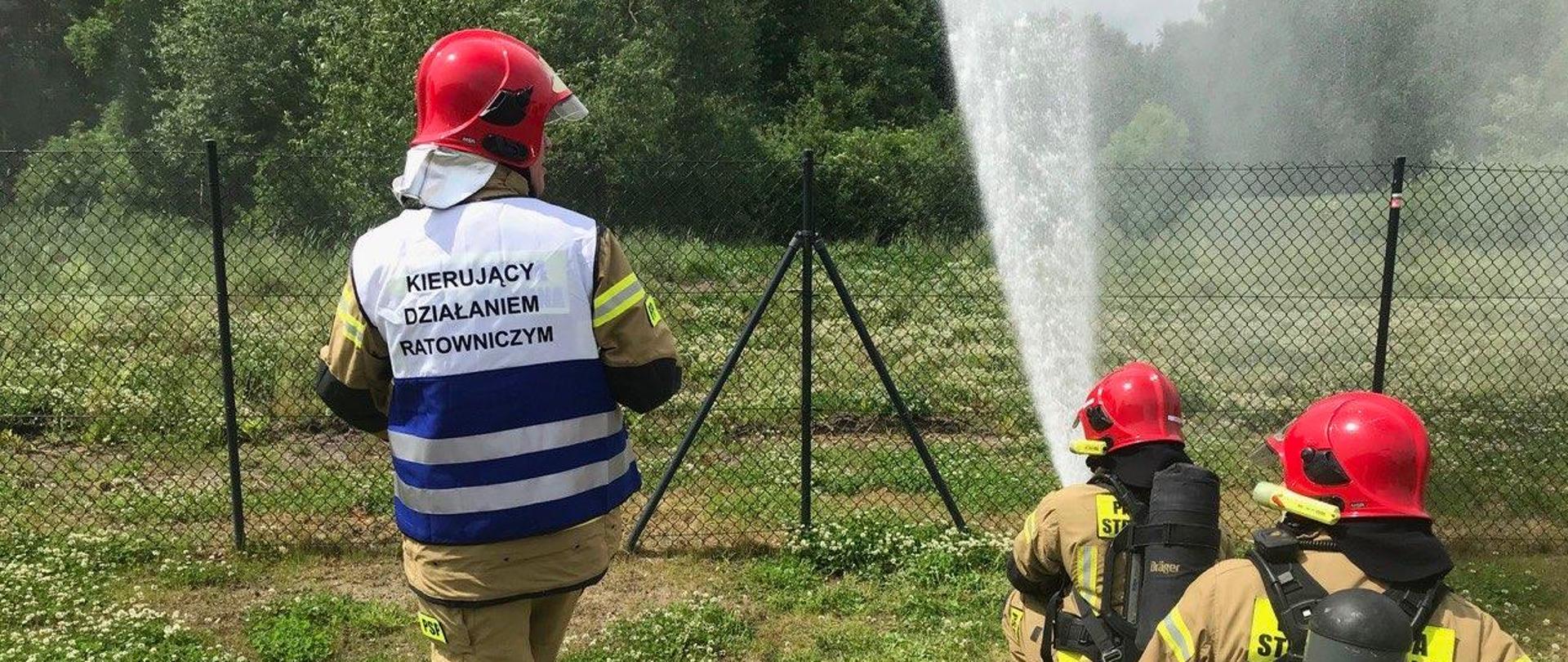 na zdjęciu strażak w kamizelce KIERUJĄCY DZIAŁANIEM RATOWNICZYM, obok strażacy z prądem wody, w tle las.