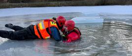Zdjęcie przedstawia strażaków podczas ćwiczeń z zakresu ratownictwa lodowego na zamarzniętym stawie