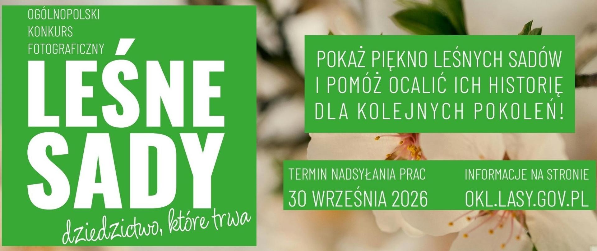 Leśne sady