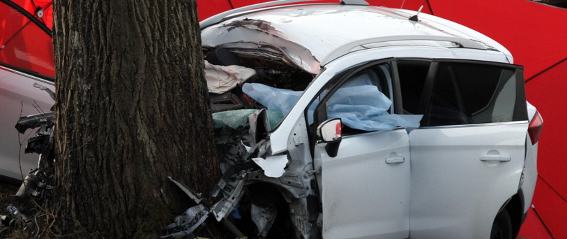 Na zdjęciu samochód uderzył w drzewo