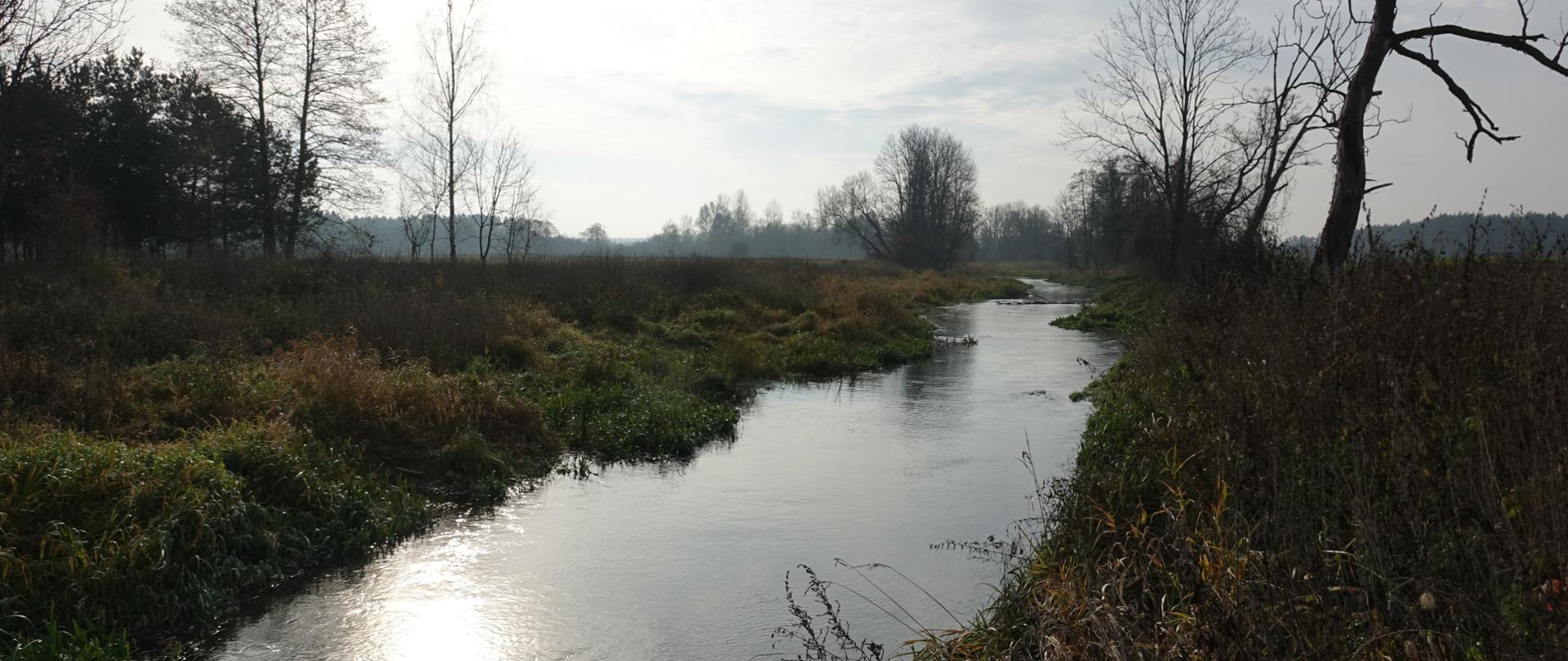 Niewielka rzeka, po jej obu stronach łąki i pojedyncze drzewa w jesiennej odsłonie.