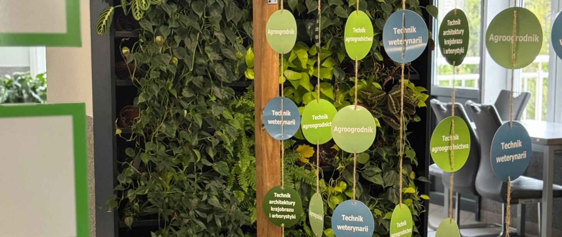 Stoisko edukacyjne z drewnianą konstrukcją i zieloną ścianą roślinną; wiszące tablice z nazwami kierunków: technik weterynarii, architektury krajobrazu, ogrodnictwa i agrogospodarstwa.