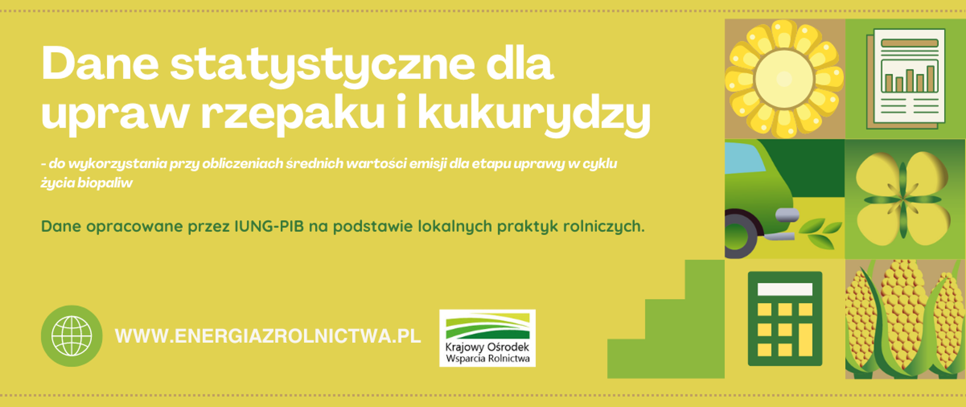 dane-statystyczne-dla-upraw-rzepaku-i-kukurydzy-energia-z-rolnictwa-kowr-_01