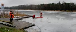 Strażacy w czerwonych skafandrach i z saniami lodowymi stoją na zamarzniętym stawie. Inni strażacy w pomarańczowych kamizelkach stoją na betonowym zejściu do wody. W lewej części zdjęcia sucha trzcina, w oddali las.