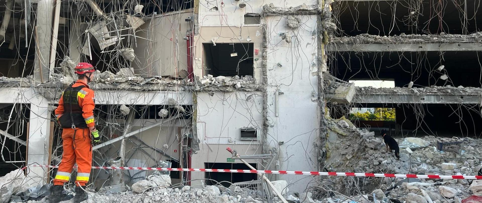 Gruzowisko. Na nim ubrany w pomarańczowy kombinezon strażak i pracujący (poszukujący ludzi) pies.