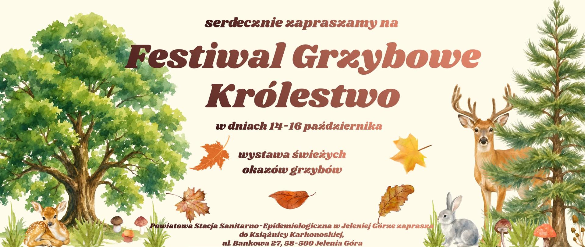 Powiatowa Stacja Sanitarno-Epidemiologiczna w Jeleniej Górze ma zaszczyt zaprosić dzieci, młodzież oraz mieszkańców regionu na kolejną odsłonę wyjątkowej akcji edukacyjnej. W dniach 14, 15 i 16 października 2026 roku odbędzie się FESTIWAL „Grzybowe Królestwo”, któremu towarzyszyć będzie wystawa naturalnych okazów grzybów oraz specjalny konkurs tematyczny.
Po ogromnym sukcesie poprzednich edycji, wspólnie z naszymi niezawodnymi partnerami – Książnicą Karkonoską, Urzędem Miasta Jelenia Góra (Wydział Edukacji, Wydział Gospodarki Odpadami), Powiatem Karkonoskim, Karkonoskim Parkiem Narodowym, Nadleśnictwem „Śnieżka” w Szklarskiej Porębie, EMPIK oraz HELIOS Jelenia Góra – ponownie zamienimy przestrzeń w tętniący życiem leśny ekosystem.
