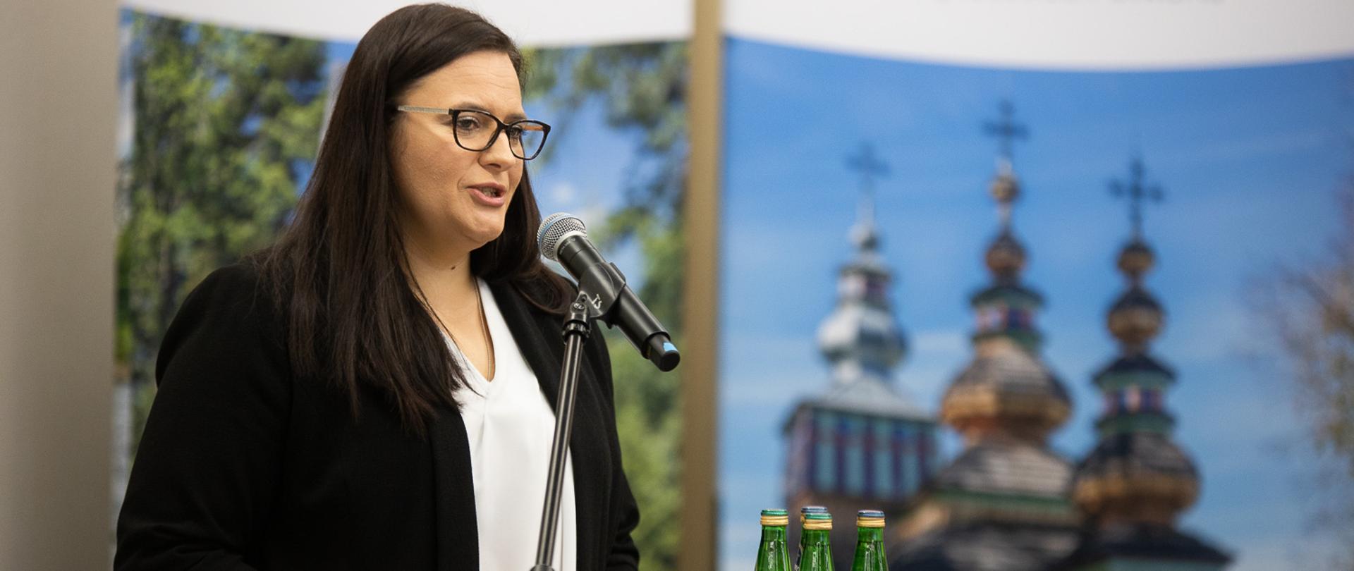 Na tle baneru "Podkarpackie" stoi w mównicy Małgorzata Jarosińska-Jedynak. Minister mówi do mikrofonu.