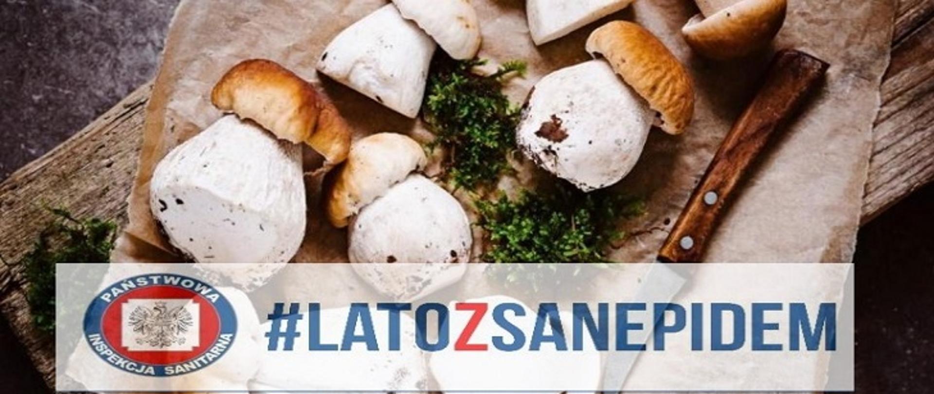 Zasady_bezpiecznego_grzybobrania1