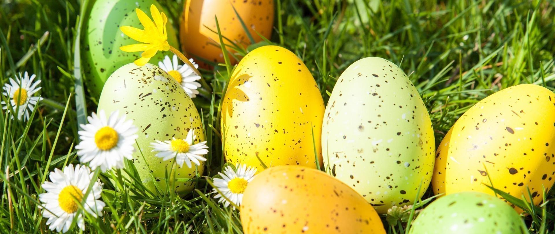 Zdjęcie jajek wielkanocnych leżących na trawie