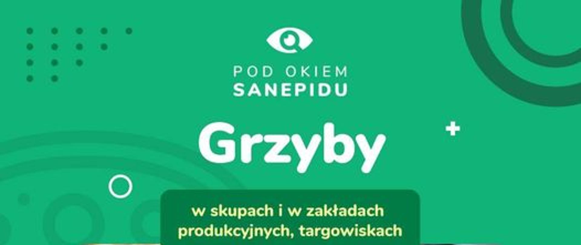 grzyby