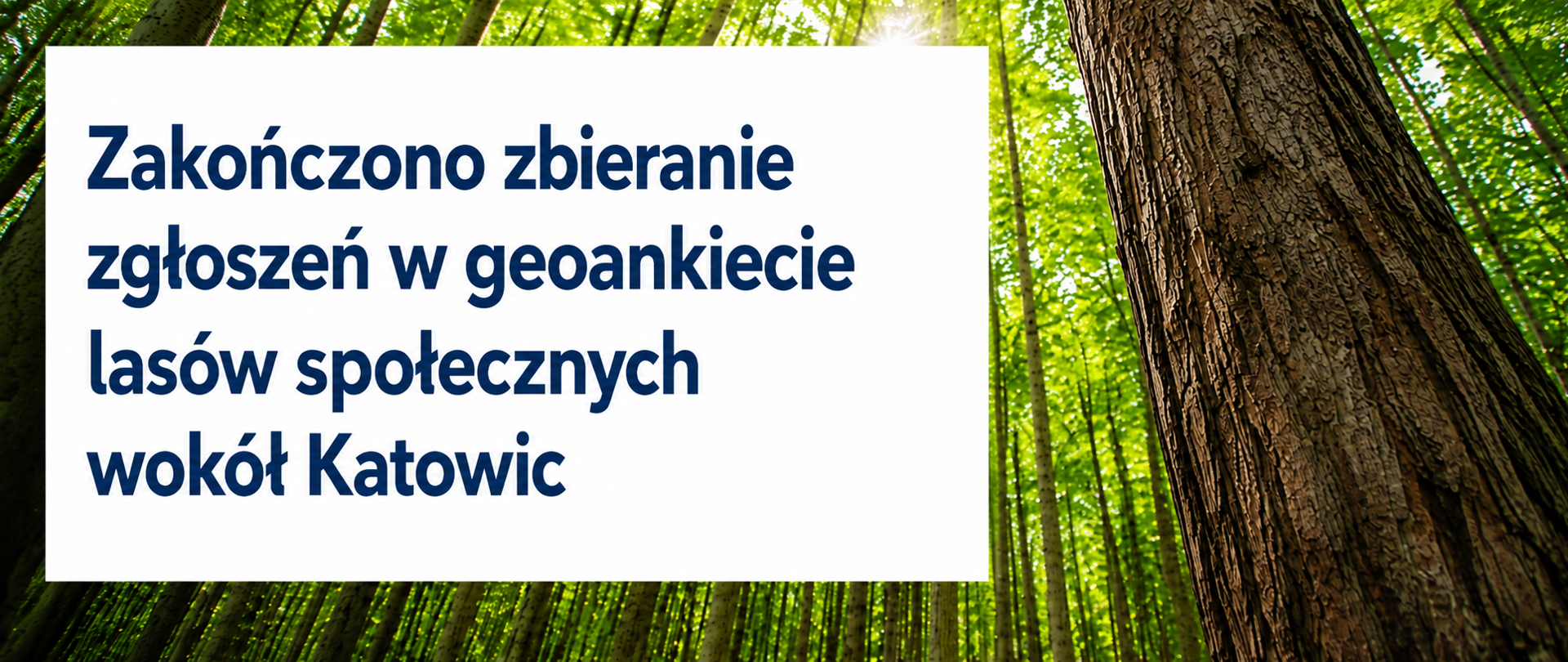 katowice_zakonlowfs