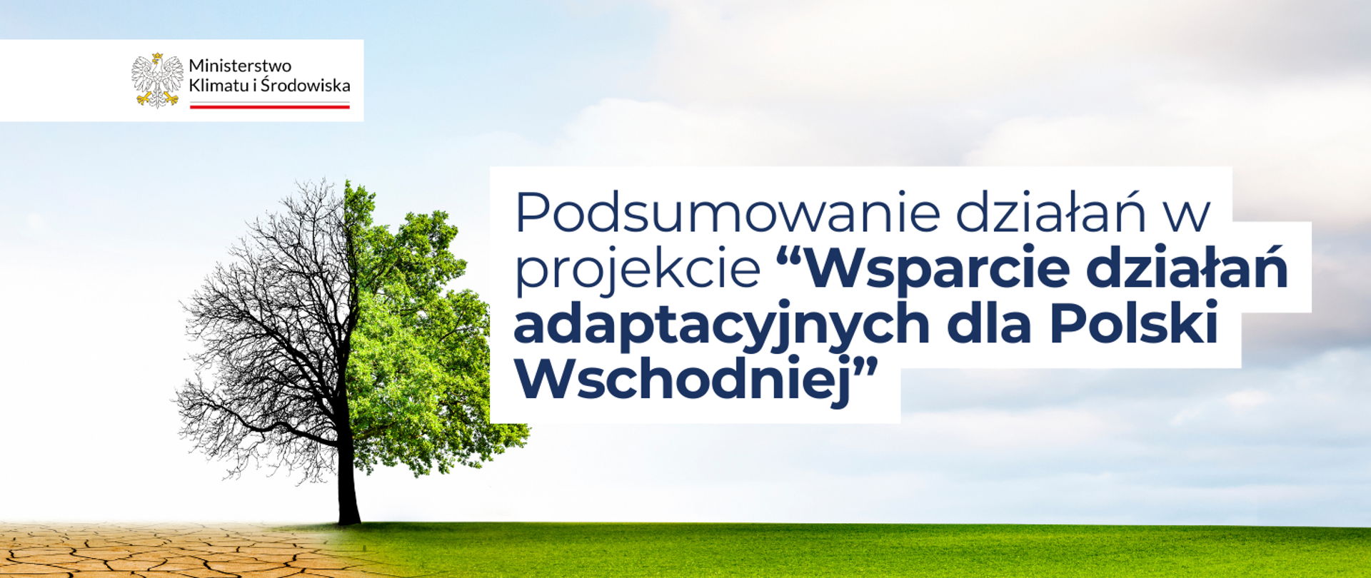 w tle grafiki widoczne jest drzewo, które podzielone jest na połowę: po jednej stronie jest uschnięte, po drugiej zielone, kwitnące. Na pierwszym planie widoczny jest napis: Podsumowanie działań w projekcie "Wsparcie działań adaptacyjnych dla Polski Wschodniej". 