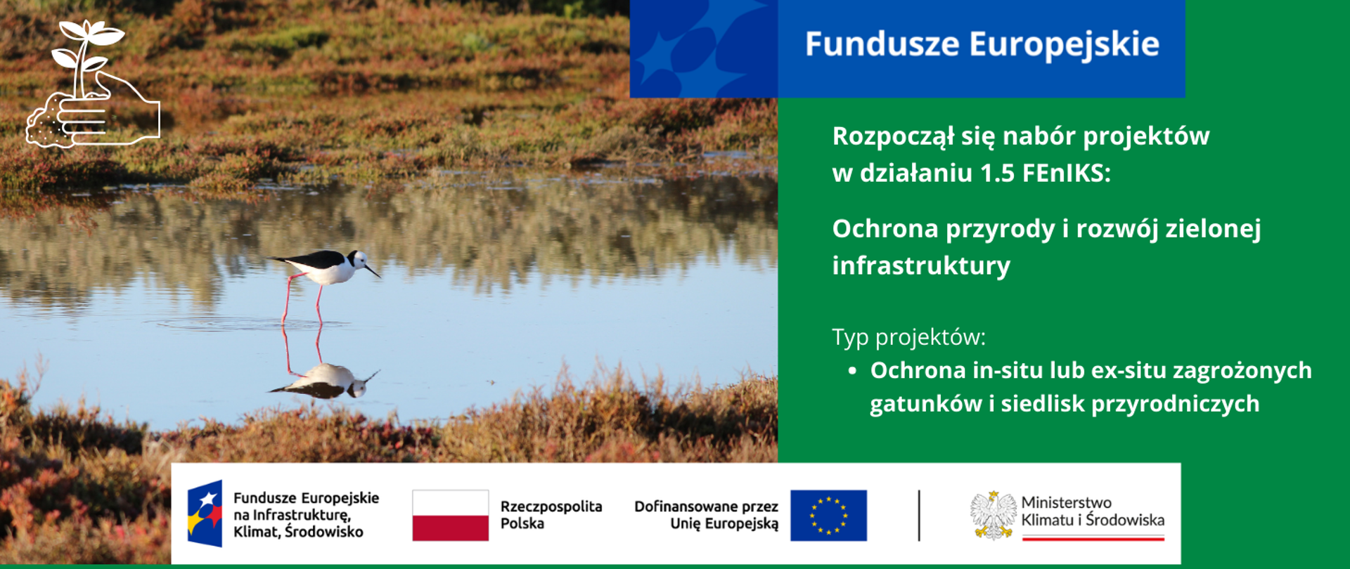 W lewej części grafiki zdjęcie brodzącego po wodzie większego ptaka o biało-czarnym ubarwieniu na długich czerwonych nogach. Wkoło zielono-brązowe trawy, tereny podmokłe. W prawej części grafiki informacja o naborze projektów w działaniu 1.5 FEnIKS: Ochrona przyrody i rozwój zielonej infrastruktury (typ projektów: Ochrona in‐situ lub ex‐situ zagrożonych gatunków i siedlisk przyrodniczych). Na dole logotypy unijne.