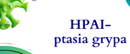 hpai