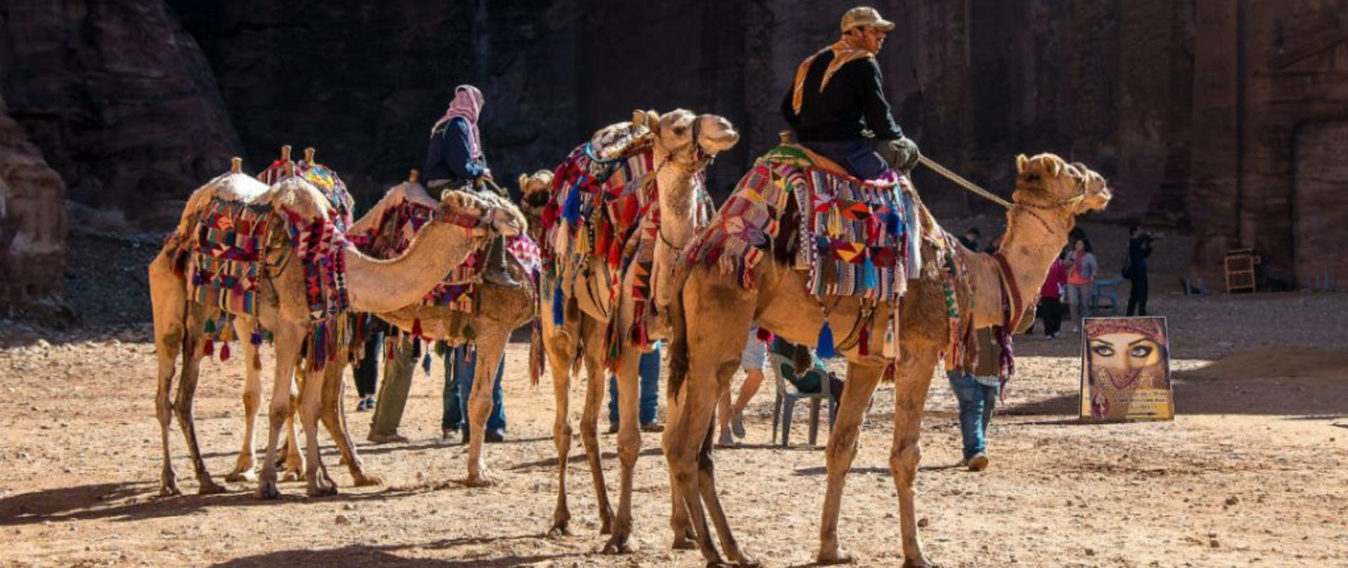 Podróżujesz w rejony Bliskiego Wschodu lub do Korei Południowej? Sprawdź informacje nt. koronawirusa MERS-CoV 