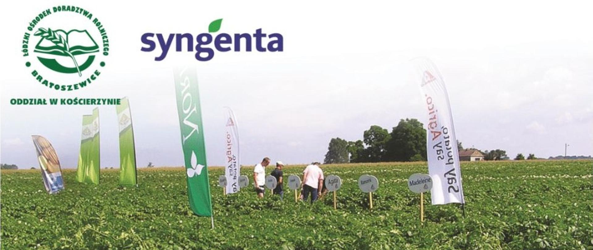 Zaproszenie dotyczące Ziemniaczano-Kapuścianych Warsztatów Polowych w Kościerzynie